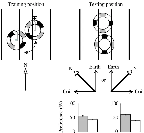 Fig. 4F; not signiﬁcant). It is possible that there was ananomalous magnetic ﬁeld near the bins because the twomagnetic plates were not aligned, but the direction of the ﬁeld