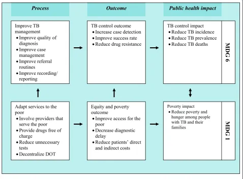 Figure 1 Logical framework for linkages between PPM objectives, Tuberculosis (TB) control and Millennium Development Goals(MDGs)