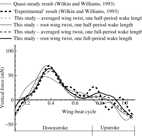 Fig. 5. Wake development after one wing-beat cycle. The view isfrom the side and front as indicated in the inset diagram.