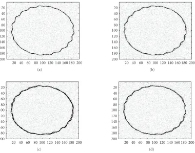 Figure 12(e) gives the result obtained by DIRECT com-