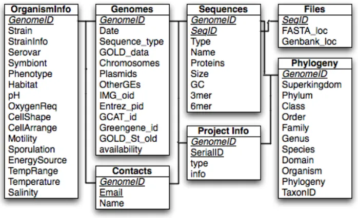 Figure 2 - GEM Database Schema