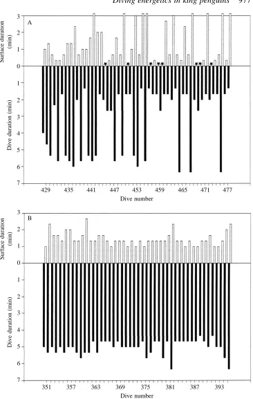 Fig. 3. (A) Dives of variable durationin a king penguin followed byvariable surface times
