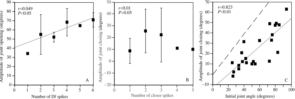 Fig. 3. Control of the amplitude of initial CF joint movement. (A) Amplitude of initial opening, as a function of the number of Df spikes in theburst