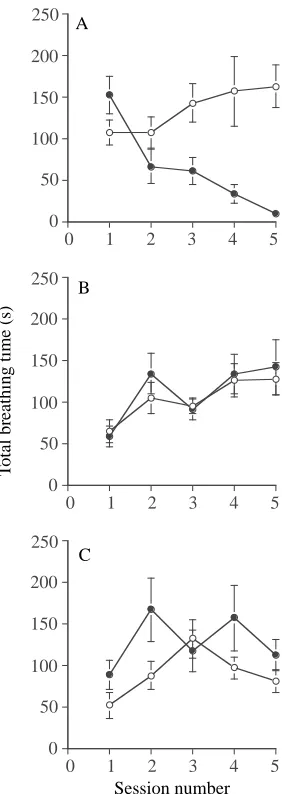 Fig. 4. Comparisons of the number of pneumostome openings in thepre- (hypoxic groups of snails