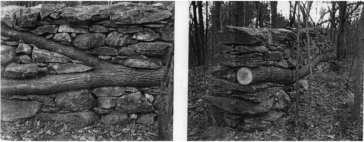Figure 1.5 Woods by Andy Goldsworthy 