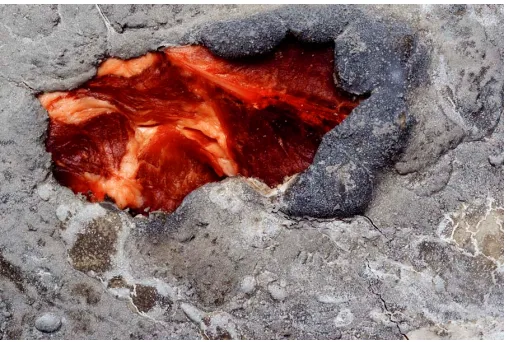 Figure 1.6 Destruction as Second Nature 2007 