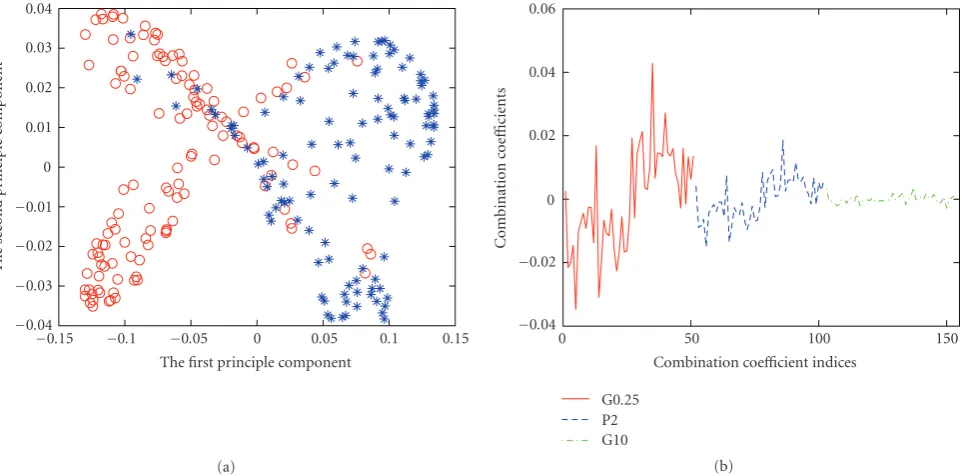 Figure 2: The results of Ripley’s data after FKO. (a) Two-dimensional projection of the training data in the optimized feature space