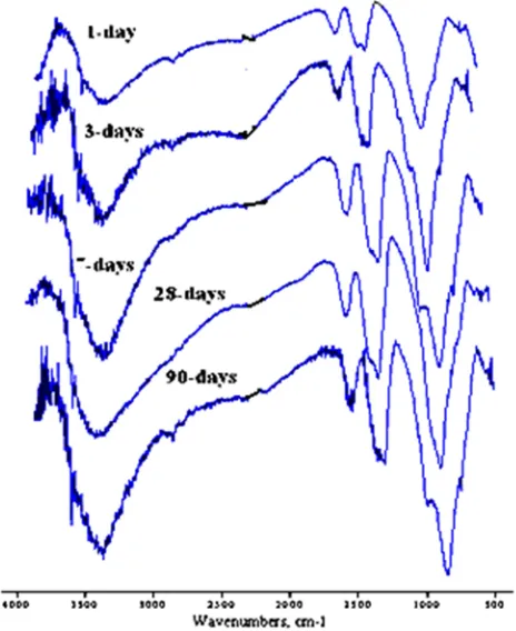 Figure 12. The FT-IR spectra of the optimum cement paste (S3) containing 15 wt % SDA at 28 days of hydration