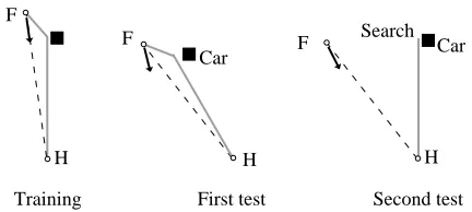 Fig. 1. The role of a landmark (a car) in the learning processesunderlying path integration was tested in a ﬂat area devoid of naturallandmarks (after Chittka et al