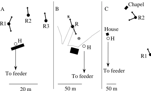 Fig. 3. Three examples of local cue-based piloting in bees. The beeswere captured when leaving the feeding place and released at thereleased at the end of a pier looking out to sea, either under sunnyconditions (vector towards the hive only under the latte