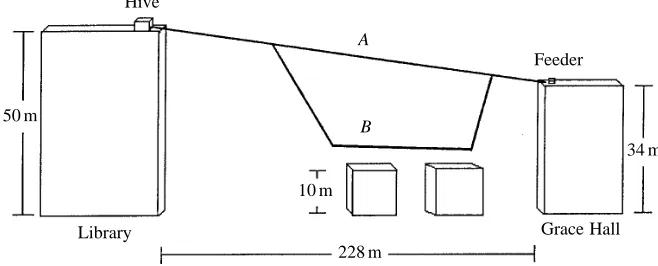 Fig. 6. Bees were trained to ﬂy from theLibrary to the roof of Grace Hall (228 maway)