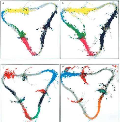 Fig. 4. All-or-nothing reconﬁguration of the hippocampal spatial representation of the familiar recording environment, following a 1 h periodof extensive experience in six different rooms, which the animal had never previously visited