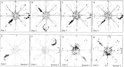 Fig. 1. Metastability of the azimuthal component of the hippocampal place representation