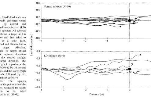 Fig. 4. Blindfolded walk to apreviously presented visual