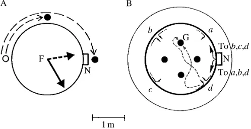 Fig. 5. (A) Conﬂict and (B) cooperation between path integration andlearned visual references