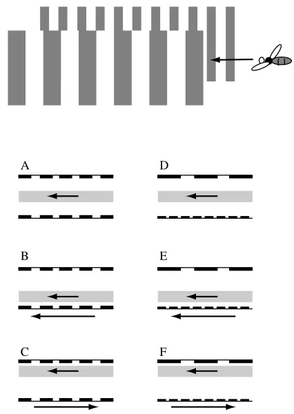 Fig. 1. Illustration of an experiment demonstrating that ﬂying beesinfer range from apparent image speed