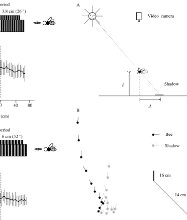 Fig. 3. Variation of ﬂight speed in tunnels of constant width, linedwith gratings in which the spatial period changes abruptly in themiddle