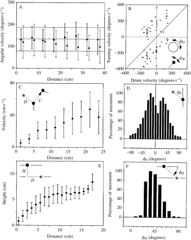 Fig. 2. Aspects of ﬂight controlduring the learning ﬂights of�insets, an asterisk marks the nestplotted against the average drumvelocity wasp (see also Zeil, 1993deviation