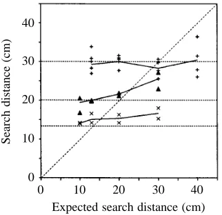 Fig. 3. The use of absolute distance cues by homing bees. Ground-nesting bees axis). Training distances are marked by horizontal lines and traininglandmark heights were 6.7 cm (crosses), 10 cm (triangles) and 15 cm(plus signs)
