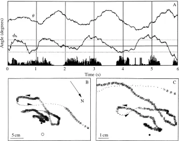 Fig. 4. The relationship between learningAngle (degrees)012B3N5cm�n�of details of the similarity analysis)
