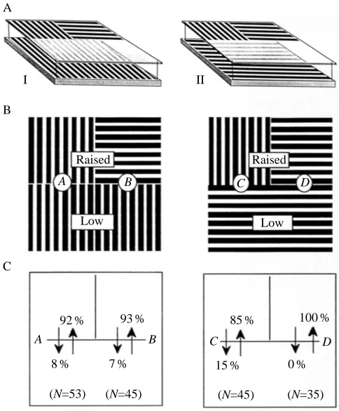 Fig. 4. Detection of an edge between a low and a raised surfacecarrying linear gratings