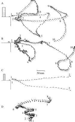 Fig. 7. As in Fig. 5, but bees were video-recorded on their ﬁrst fewvisits to the experimental set-up