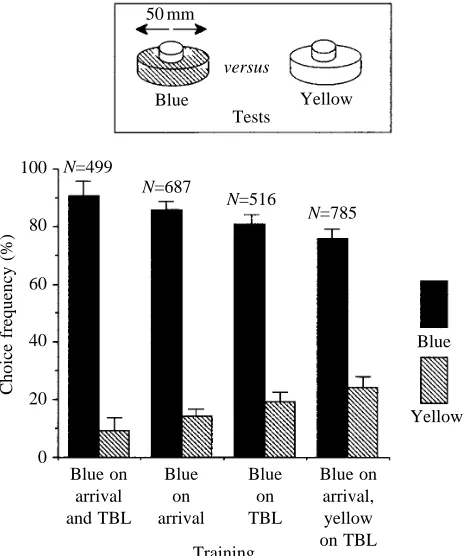 Fig. 9. The role of the TBL in a colour learning task. A smalltransparent feeding dish was placed on a blue model ﬂower.Individual bees were trained in one of four different modes (abscissa).In one, the blue ﬂower was present on both arrival and departure