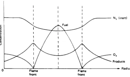 Figure 3.1 Standard Diffusion Flame Concentration Profiles