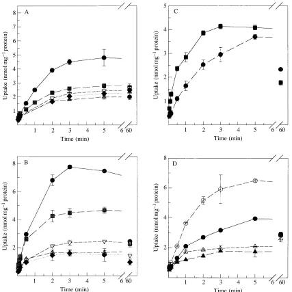 Fig. 2. The uptake timecourse of (A) proline or (B) glycine with different alkali cations at pH10