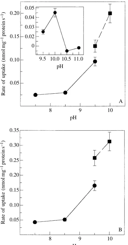 Fig. 4. Initial uptake of (A) proline (circles) or (B) glycine (squares)at pH 10 with a KSCN (ﬁlled symbols) or a KCl (open symbols)gradient as a function of time