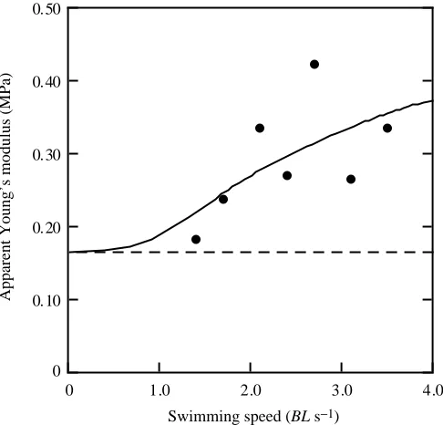 Fig. 12. Predicting increased body stiffness in live, swimming sunﬁsh.Extrapolating from the results of the sunﬁsh models, we predict thatlive pumpkinseed sunﬁsh must double their apparent Young’smodulus, relative to the passive (baseline) value, in order 