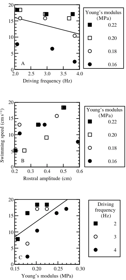Fig. 6. Swimming speed of swimming models. This performanceYoung’s modulus (MPa)variable is determined by the interaction of kinematic variables (seeFigs 4, 5), efficiency (see Fig