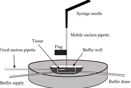 Fig. 1. Perfusion chamber used for hindgut and oviduct contractionassays. The tissue is held by suction between ﬁxed and mobilepolyethylene pipettes