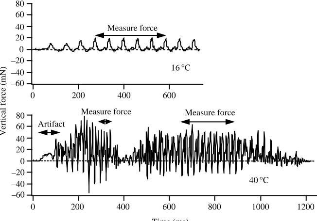 Fig. 2. Samples of raw traces of vertical forceproduction during ﬂight attempts by dragonﬂiesattached to a force transducer