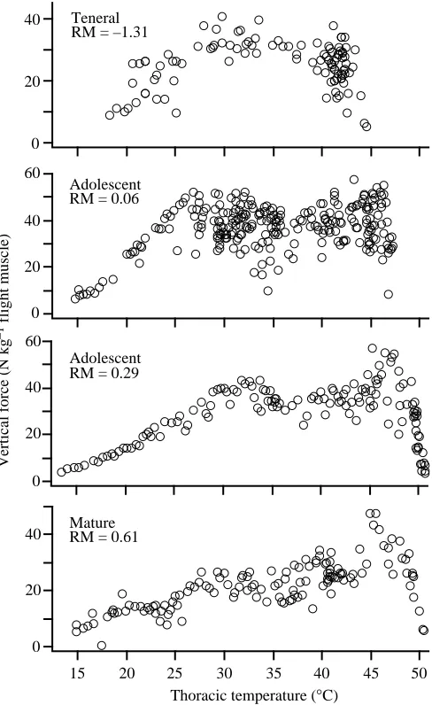 Table 1; see Anholt et al.body mass alone is not an accurate measure of relative maturity, 1991, for additional data)