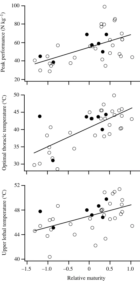 Fig. 4. Traces outlining the upper limit of vertical force production asa function of thoracic temperature for each of the 37 individualLibellula pulchella dragonﬂies tested