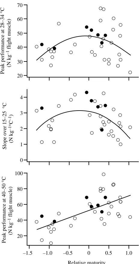 Table 1. Mean body and thorax mass of Libellula pulchelladragonﬂies according to relative maturity