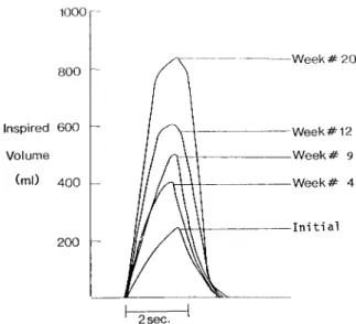 Fig. 8. Maximum inspired volumes with intercostal stimulation at various times during the reconditioning period of one patient