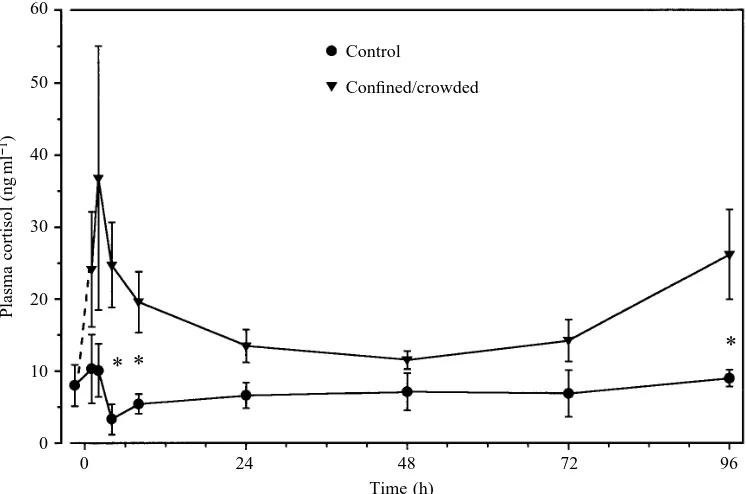 Fig. 1. Series I. Plasma cortisollevels except at 96 h where in undisturbed gulftoadﬁsh (control, ﬁlled circles)and in toadﬁsh subjected to aconﬁnement/crowding stress(stressed, ﬁlled triangles)