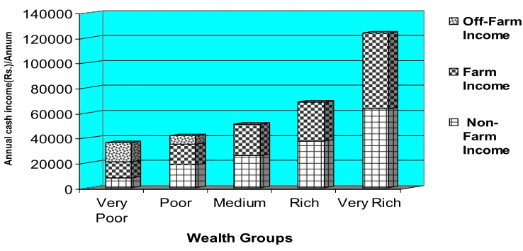 Fig. 5. Income source among different wealth groups