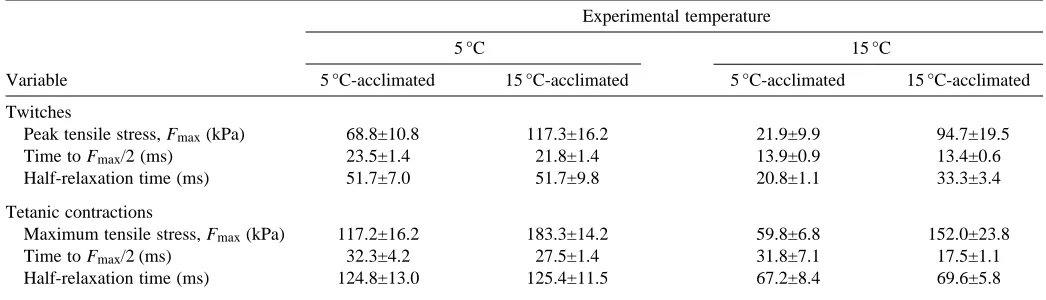 Table 1. Isometric contractile properties of fast muscle ﬁbres isolated from the rostral myotomes (0.3–0.4L) of short-hornedsculpin (Myoxocephalus scorpius L.) acclimated to either 5 or 15 °C