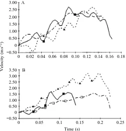 Fig. 2. Velocity proﬁles of Northern pike for (A) three C-starts (ﬁlledsquares, C-start 1; open squares, C-start 2; ﬁlled triangles, C-start 3and (B) three S-starts (ﬁlled squares, S-start 1; open squares, S-start2; ﬁlled triangles, S-start 3)