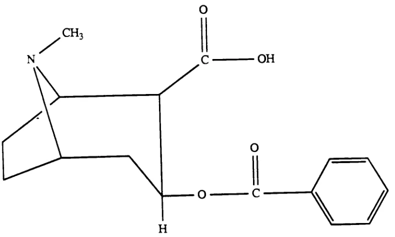 Fig. 1 Structure of BEC