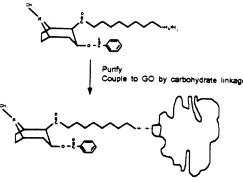 Fig. 5 Attaching BEC- peptide Hydrazide to enzyme