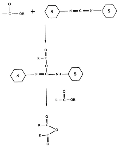 Fig. 7 Synthesis of Symmetrical Anhydride