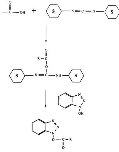 Fig. 8 Synthesis of HOBt Active Esters