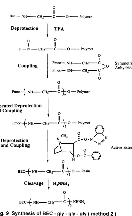 Fig. 9 Synthesis of BEC