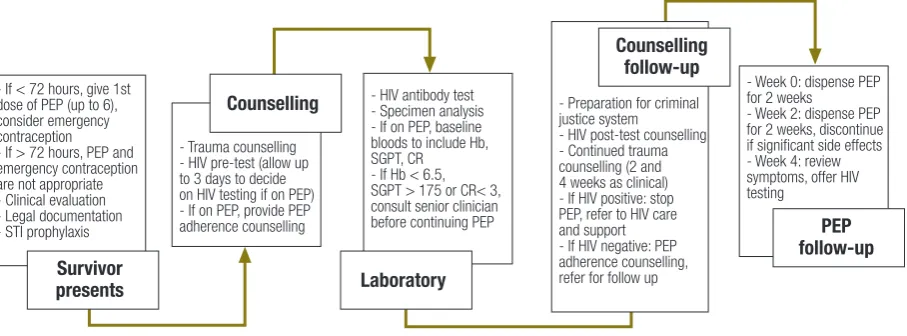 Fig. 1. Post-rape care services algorithm developed for health facilities in Kenya