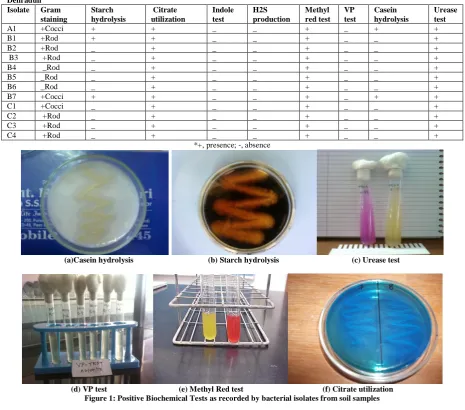 Table 1 (a): Biochemical Tests for confirmation of bacterial isolates recorded from soil samples of different sites of Rishikesh and Dehradun 