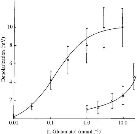 Fig. 7. Mean glutamate in superfusate). (point represents the mean ±dose–response curves for L-glutamate-evokedmotoneuron depolarizations in wood and leopard frog spinal cords.Ordinate: amplitude of changes in VR potential produced by 10sapplications of L-